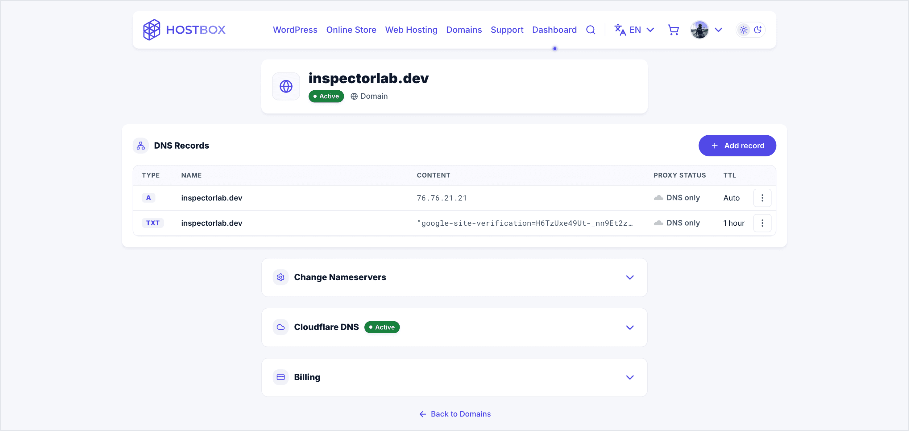The customer dashboard, showing an active service and its DNS records.